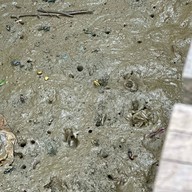 ชุมชนบ้านขุนสมุทรจีน