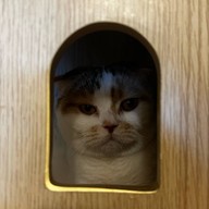 BoxGallery