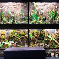 rooth cafe Bangsean.Chonburi