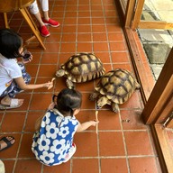 GOOD GOOSE กาแฟและขนม -