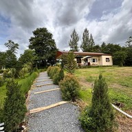 จูน เขาใหญ่