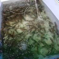 หน้าร้าน เจ๊แดงซีฟู้ด