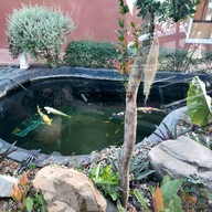 Cafe Amazon Savannakhet