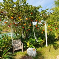 มีคุณ15 คาเฟ่ (Mekun15 cafe) Klong Ha