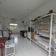 บรรยากาศ The Pomellow Family Farm