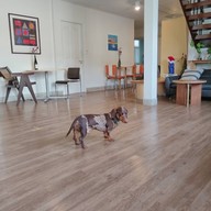 Summ coffee and studio