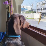 Summ coffee and studio