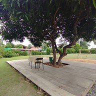 บรรยากาศ The Pomellow Family Farm