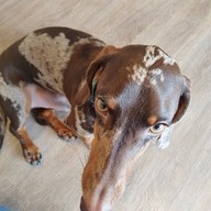 Summ coffee and studio