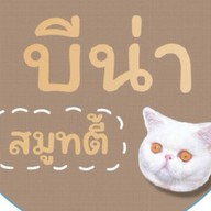 ไอติมกะทิสด เกล็ดหิมะ ร้านKingkong Cuts