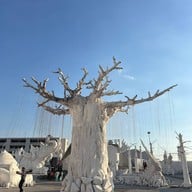 Frost Magical Ice of Siam