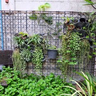 บรรยากาศ Madam Pahtehh 2515 หมากแข้ง