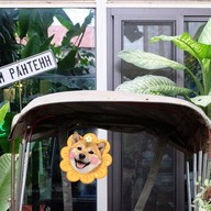 บรรยากาศ Madam Pahtehh 2515 หมากแข้ง