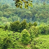 อุทยานแห่งชาติเขาแผงม้า นครราชสีมา