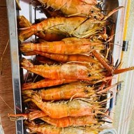 ร้านแกะให้นะ กุ้งย่าง ข้าวหน้ากุ้ง  ตลาดนัดวันศุกร์ มหิดลศาลายา