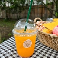 สวนส้มจินจู JINJU the orange farm
