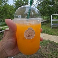 สวนส้มจินจู JINJU the orange farm