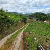 สวนส้มจินจู JINJU the orange farm