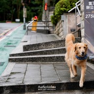 Xiangshan Hiking Trail