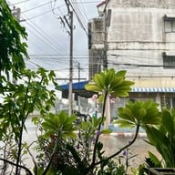 ก๋วยเตี๋ยวคั่วไก่ สวนมะลิ (เจ๊เค็ง เจ๊งิ้ม) ลำลูกกา