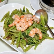 โอ๊บ โอ๊บ (กบทอดท่ามะกา)