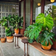 หน้าร้าน Basic Space Coffee