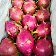 ผลไม้ตามฤดูกาลและผลไม้นอก