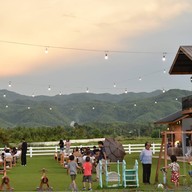 Harvest time phrae -