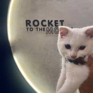 ROCKET TO THE MOON