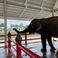 วัดวีระโชติธรรมาราม