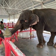 วัดวีระโชติธรรมาราม