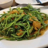 สมบูรณ์โภชนา รัชดา