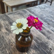 Chicken and Bee : Good Food and Organic Farm