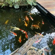 Country Lake View Hotel