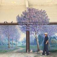 Street Art เมืองตรัง