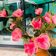 Ban Suan Kratom Cafe & Resort