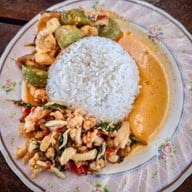พนิดาปลาช่อน