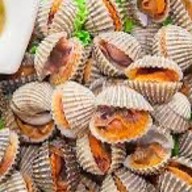 เฟิร์ส หอยแครงเบิ้ม คลอง7