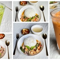 ปลูกกะเพรา