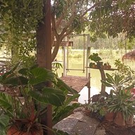 ครัวชญา (อาหารและเครื่องดื่ม)