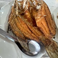 เมดูลอง