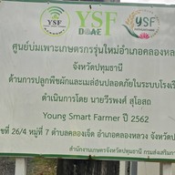 บรรยากาศ ฟาร์มลุงแดง