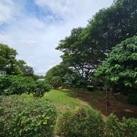 บรรยากาศ Banyakart Khao Yai