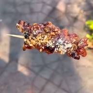 ร้านหมูปิ้งสูตรอากง ตรงข้ามวัดสุทัศน์