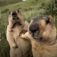 เมนูของร้าน Chithole Royal river Hotel