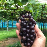 บรรยากาศ บ้านไร่คุณนาย