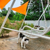 บรรยากาศ pad seoul cafe