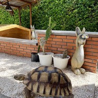 GOOD GOOSE กาแฟและขนม -