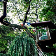 The Treehouse Nongchok