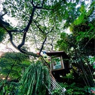 The Treehouse Nongchok